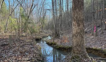 MOUNTAIN CUT RD lot D, Appomattox, VA 24522