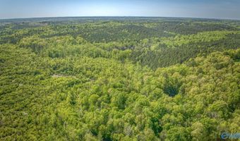 87 Acres Kay Hollis Rd, Beaverton, AL 35544