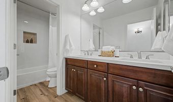 3715 E BLUEBIRD Pl, Chandler, AZ 85286