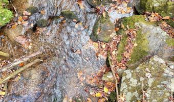 135 49ac Webb Creek Rd, Andrews, NC 28901