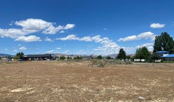 320 Leesburg Ln, Challis, ID 83226