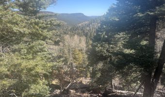 705 NM-120, Angel Fire, NM 87710