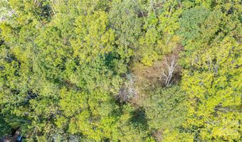 10 Dodd Rd, Barnardsville, NC 28709