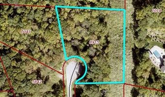 31 Maggies Ln, Asheville, NC 28803