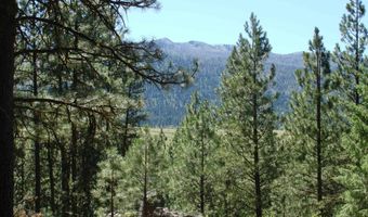 464 Collier View Rd, Cascade, ID 83611