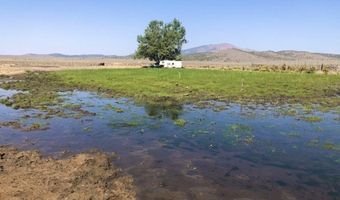 Superior Millsite Mine, Austin, NV 89820