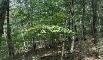 Lot 24 MT SNOW COURT, Basye, VA 22810