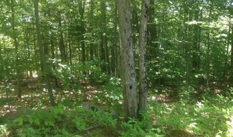 72-1 Frohock Brook Rd, Alton, NH 03810