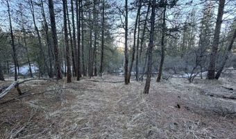 Bobcat Circle, Beatty, OR 97621