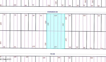 Fig Drive, Bay St. Louis, MS 39520