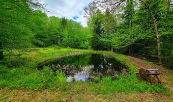 5897 VT-102, Bloomfield, VT 05905