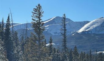 316 N FULLER PLACER Rd, Breckenridge, CO 80424