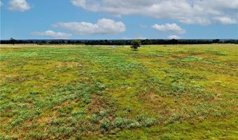 Tbd Tract 5 Fm-2819, Anderson, TX 77830