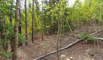 452 QUARTZVILLE Rd, Alma, CO 80420