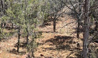 164 Rattlesnake Rd, Ash Fork, AZ 86320