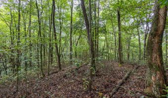 3 Ac Chestnut Flats Rd, Andrews, NC 28901