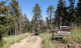 Old Camp Rd, Bellvue, CO 80512