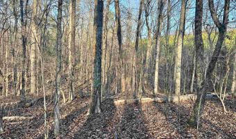 0009 SPRINGHOLLOW Rd Lot 9, Ashville, AL 35953