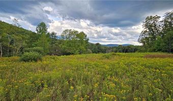 Shaver Hollow, Andes, NY 13731