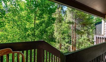 246 Broken Lance Dr 103, Breckenridge, CO 80424