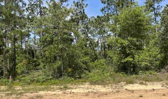 Holly Springs Avenue, Alford, FL 32420