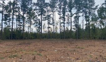 Lot 1-D Daniels Lane, Bennettsville, SC 29512