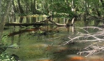 247 Horseshoe Trl, Barnwell, SC 29812