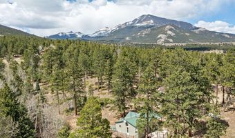 131 County Road 90, Allenspark, CO 80510