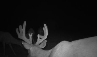 607 Hwy 69, Arma, KS 66712