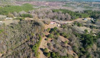 34655 Co Rd 49, Beaverton, AL 35544