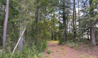 0 CR-215, Ariton, AL 36311