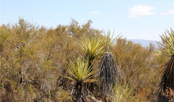 875 Lake Cyn, Aguanga, CA 92536