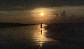 1187 Alligator Dr, Alligator Point, FL 32346