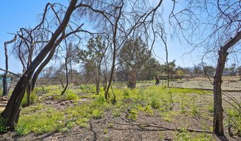 630 Concha St, Altadena, CA 91001
