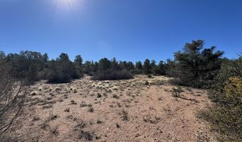Home Stretch Road, Chino Valley, AZ 86323