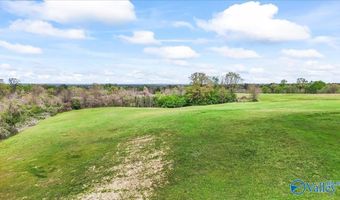 435 Sneadview Rd, Altoona, AL 35952