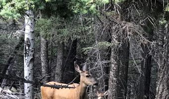 10401 Windy Ridge Rd, Aguilar, CO 81020