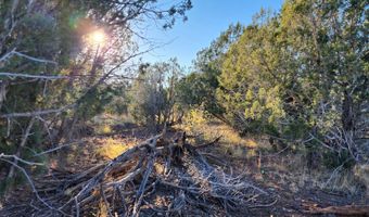 88- B Rose Ln, Ash Fork, AZ 86320