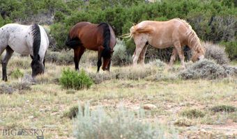 Deadman Creek Road, Bridger, MT 59014