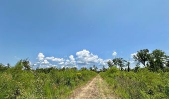 Ms-25, Brandon, MS 39047