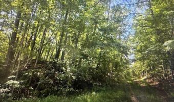 GEMINI CIRCLE lot 53, Alpine, AL 35014