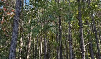 971 Somerset Rd SE, Bogue Chitto, MS 39629