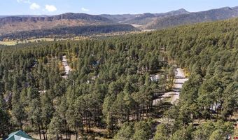 138 Green Ridge Dr, Bayfield, CO 81122