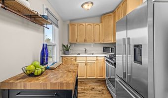 47 R Jamaica 3, Boston, MA 02130