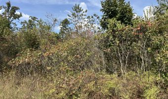 Tbd 7885 County Road 306 Pvt Drive-B, Ava, MO 65608