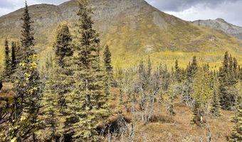 B005 Packsaddle Road, Chickaloon, AK 99674
