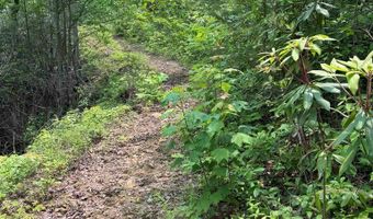 88 Acres Bolden Br, Andrews, NC 28901
