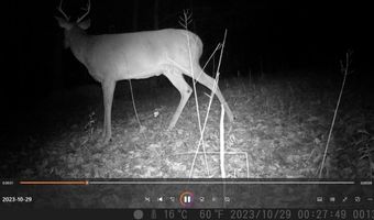 748 Elam Branch Rd, Barbourville, KY 40906