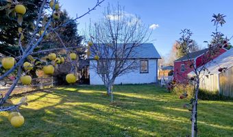 20506 N Main St St, Carey, ID 83320