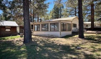 10 County Road 2117, Alpine, AZ 85920